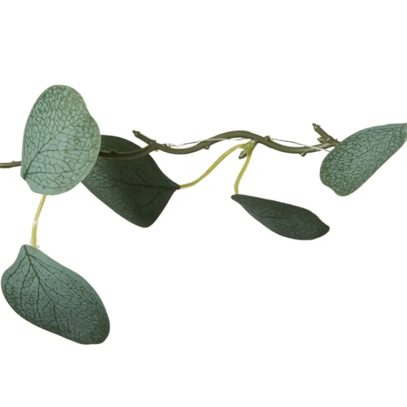 Xenos Kerstverlichting|Kerstboom Verlichting-Kerst lichtslinger met eucalyptus - groen - 2 meter