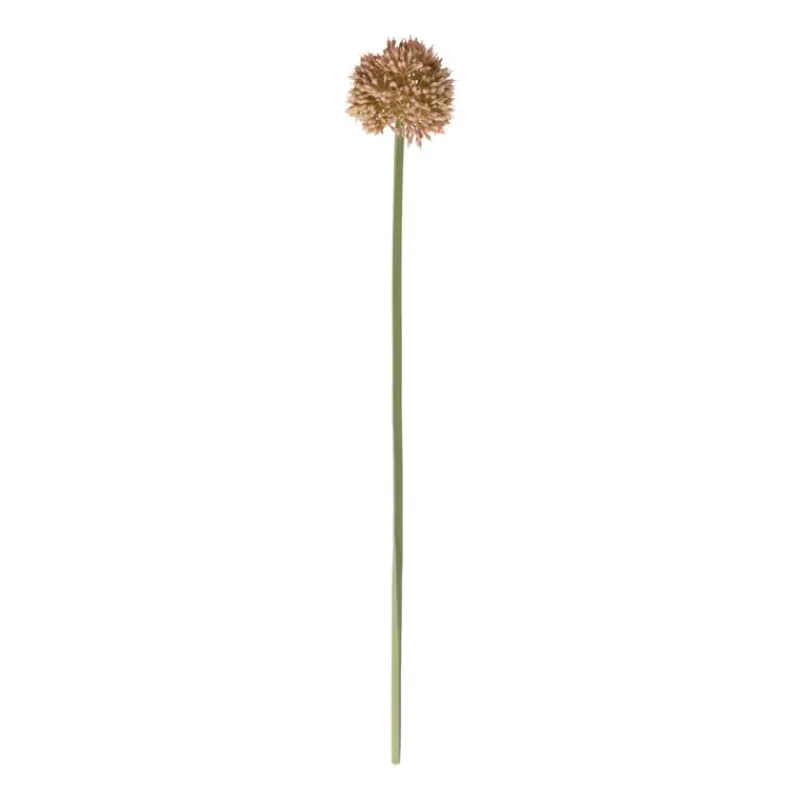Xenos Kunstbloemen-Kunstbloem allium - diverse varianten - 50 cm