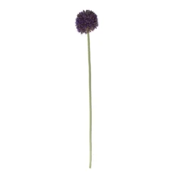 Xenos Kunstbloemen-Kunstbloem allium - diverse varianten - 50 cm