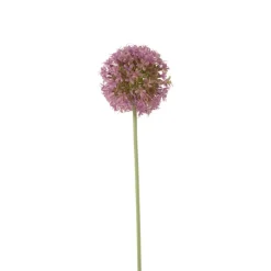 Xenos Kunstbloemen-Kunstbloem allium - paars - 64 cm