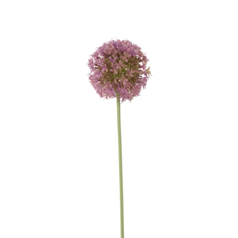 Xenos Kunstbloemen-Kunstbloem allium - paars - 64 cm