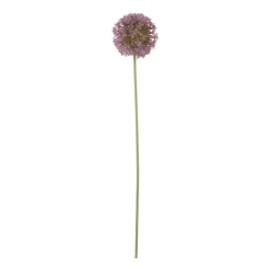 Xenos Kunstbloemen-Kunstbloem allium - paars - 64 cm