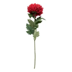 Xenos Kunstbloemen-Kunstbloem dahlia groot - rood - 75 cm