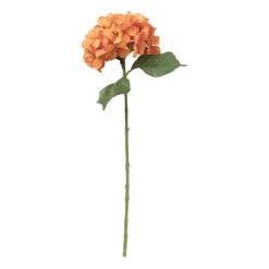 Xenos Kunstbloemen-Kunstbloem hortensia - oranje - 63 cm