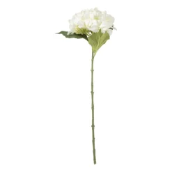 Xenos Kunstbloemen-Kunstbloem hortensia - wit - 63 cm