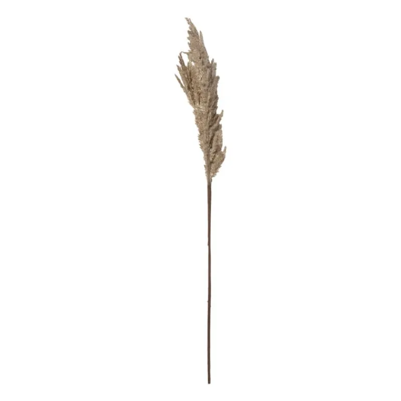 Xenos Kerstcadeaus|Kunstbloemen-Kunstbloem pampas tak - 81 cm - diverse kleuren