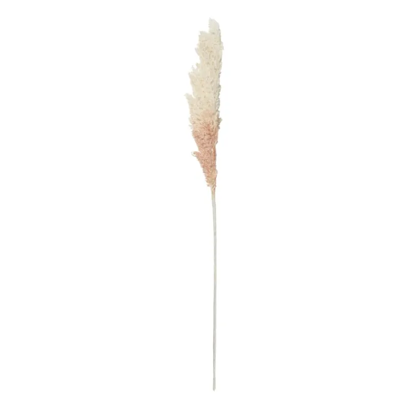 Xenos Kerstcadeaus|Kunstbloemen-Kunstbloem pampas tak - 81 cm - diverse kleuren