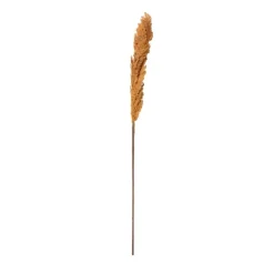 Xenos Kerstcadeaus|Kunstbloemen-Kunstbloem pampas tak - 81 cm - diverse kleuren