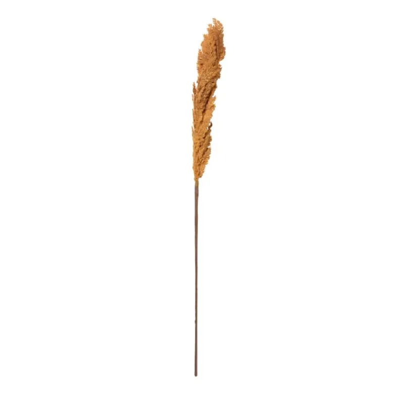 Xenos Kerstcadeaus|Kunstbloemen-Kunstbloem pampas tak - 81 cm - diverse kleuren