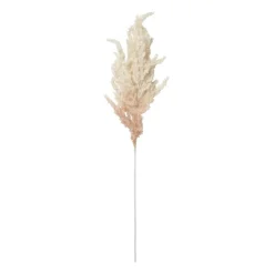 Xenos Kunstbloemen-Kunstbloem pampas tak - 80 cm - diverse kleuren