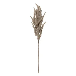 Xenos Kunstbloemen-Kunstbloem pampas tak - 80 cm - diverse kleuren