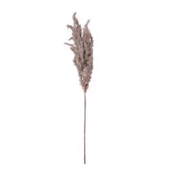 Xenos Kunstbloemen-Kunstbloem pampas tak - 80 cm - diverse kleuren