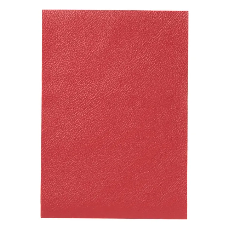 Xenos Knutselspullen-Kunstleer sheets - pu - set van 5