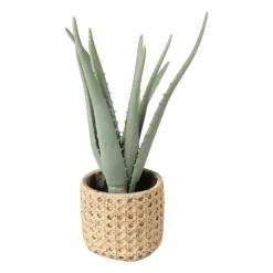 Xenos Kunstplanten-Kunstplant aloe vera - 33 cm