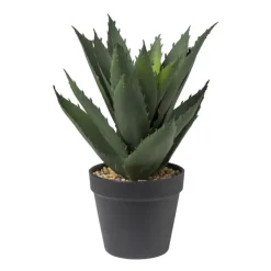 Xenos Kunstplanten-Kunstplant aloe vera - 28 cm