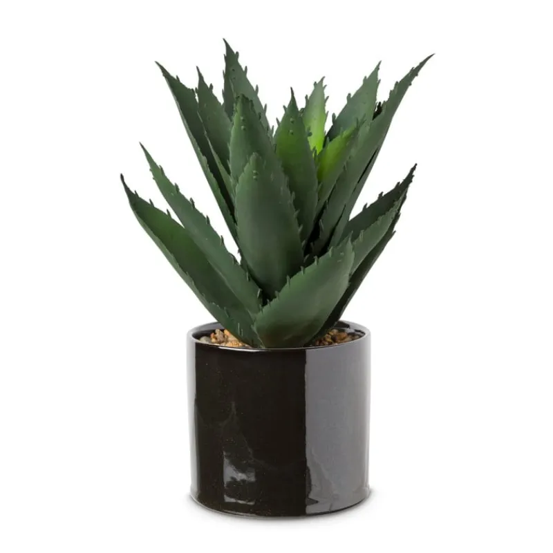 Xenos Kunstplanten-Kunstplant aloe vera - 28 cm