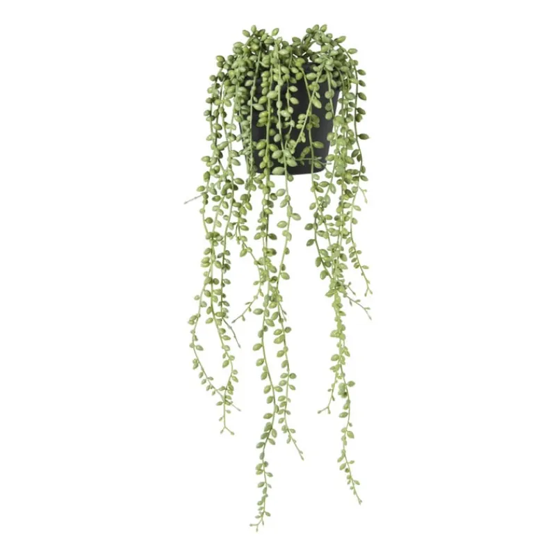 Xenos Kunstplanten-Kunstplant erwtenplantje in pot - groen/zwart - 53 cm
