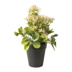 Xenos Kunstplanten-Kunstplant kalanchoe - roze - 24 cm