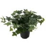 Xenos Kunstplanten-Kunstplant klimop - ø9 cm