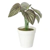 Xenos Kunstplanten-Kunstplant mini syngonium - rood - 13 cm