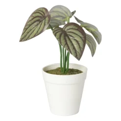 Xenos Kunstplanten-Kunstplant mini syngonium - rood - 13 cm