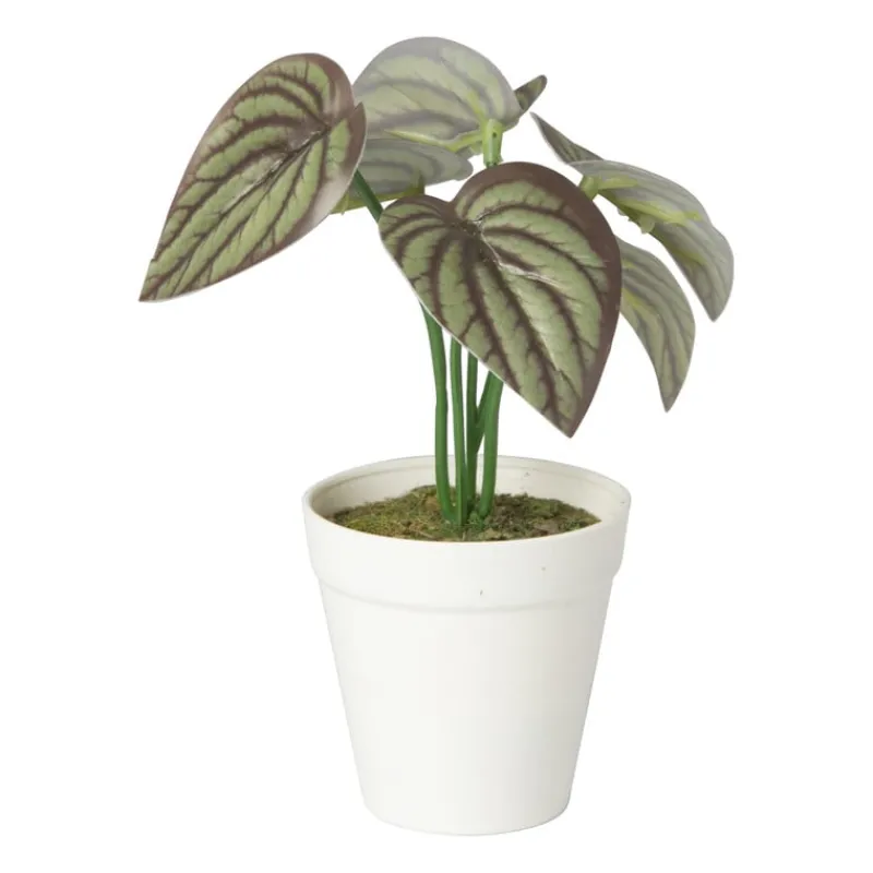 Xenos Kunstplanten-Kunstplant mini syngonium - rood - 13 cm