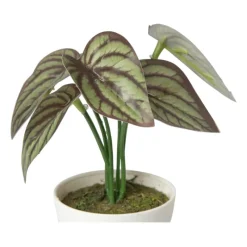 Xenos Kunstplanten-Kunstplant mini syngonium - rood - 13 cm