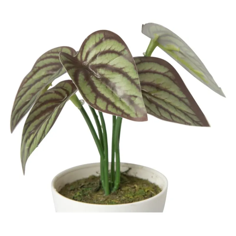 Xenos Kunstplanten-Kunstplant mini syngonium - rood - 13 cm