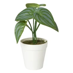 Xenos Kunstplanten-Kunstplant mini syngonium - 13 cm