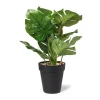 Xenos Kunstplanten-Kunstplant monstera - ø16x30 cm