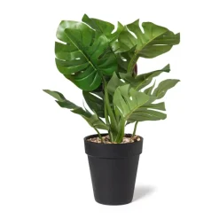Xenos Kunstplanten-Kunstplant monstera - ø16x30 cm