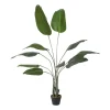 Xenos Kerstcadeaus|Kunstplanten-Kunstplant strelitzia - 160 cm