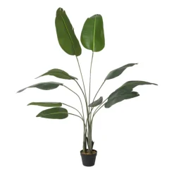 Xenos Kerstcadeaus|Kunstplanten-Kunstplant strelitzia - 160 cm