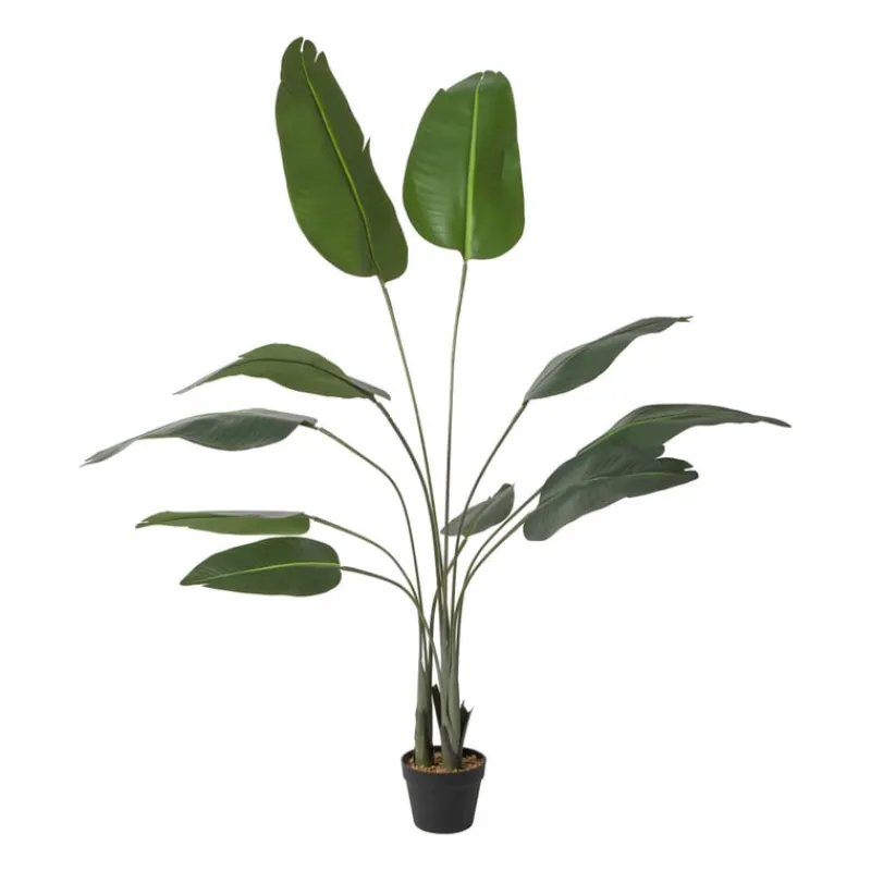 Xenos Kerstcadeaus|Kunstplanten-Kunstplant strelitzia - 160 cm