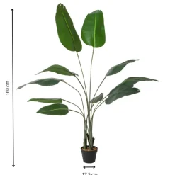Xenos Kerstcadeaus|Kunstplanten-Kunstplant strelitzia - 160 cm