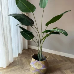 Xenos Kerstcadeaus|Kunstplanten-Kunstplant strelitzia - 160 cm