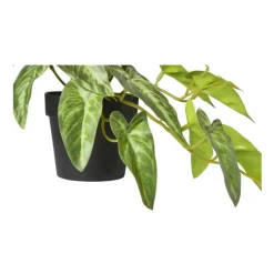 Xenos Kunstplanten-Kunstplant syngonium - 17 cm
