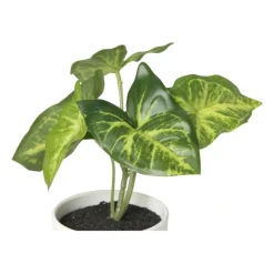 Xenos Kunstplanten-Kunstplant syngonium - 16 cm