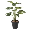 Xenos Kunstplanten-Kunstplant syngonium - 36 cm