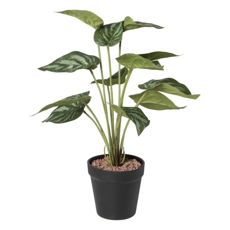Xenos Kunstplanten-Kunstplant syngonium - 36 cm