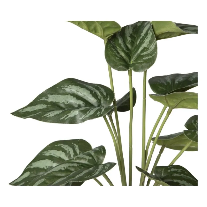 Xenos Kunstplanten-Kunstplant syngonium - 36 cm
