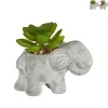 Xenos Kunstplanten-Kunstplantje in olifantje - diverse varianten - 5.5x9x7 cm