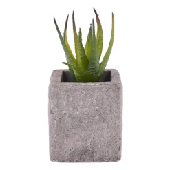 Xenos Kunstplanten-Kunstplantje in pot met magneet - diverse varianten