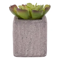 Xenos Kunstplanten-Kunstplantje in pot met magneet - diverse varianten