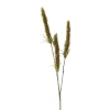 Xenos Kunstbloemen-Kunsttak graan - groen - 63 cm