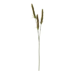 Xenos Kunstbloemen-Kunsttak graan - groen - 63 cm