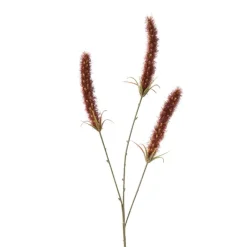 Xenos Kunstbloemen-Kunsttak graan - rood - 63 cm