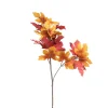Xenos Kunstbloemen-Kunsttak herfst - oranje - 60 cm