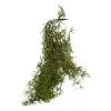 Xenos Kunstbloemen-Kunsttak tilandsia - 85 cm
