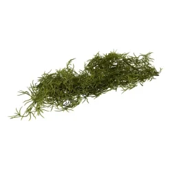 Xenos Kunstbloemen-Kunsttak tilandsia - 85 cm